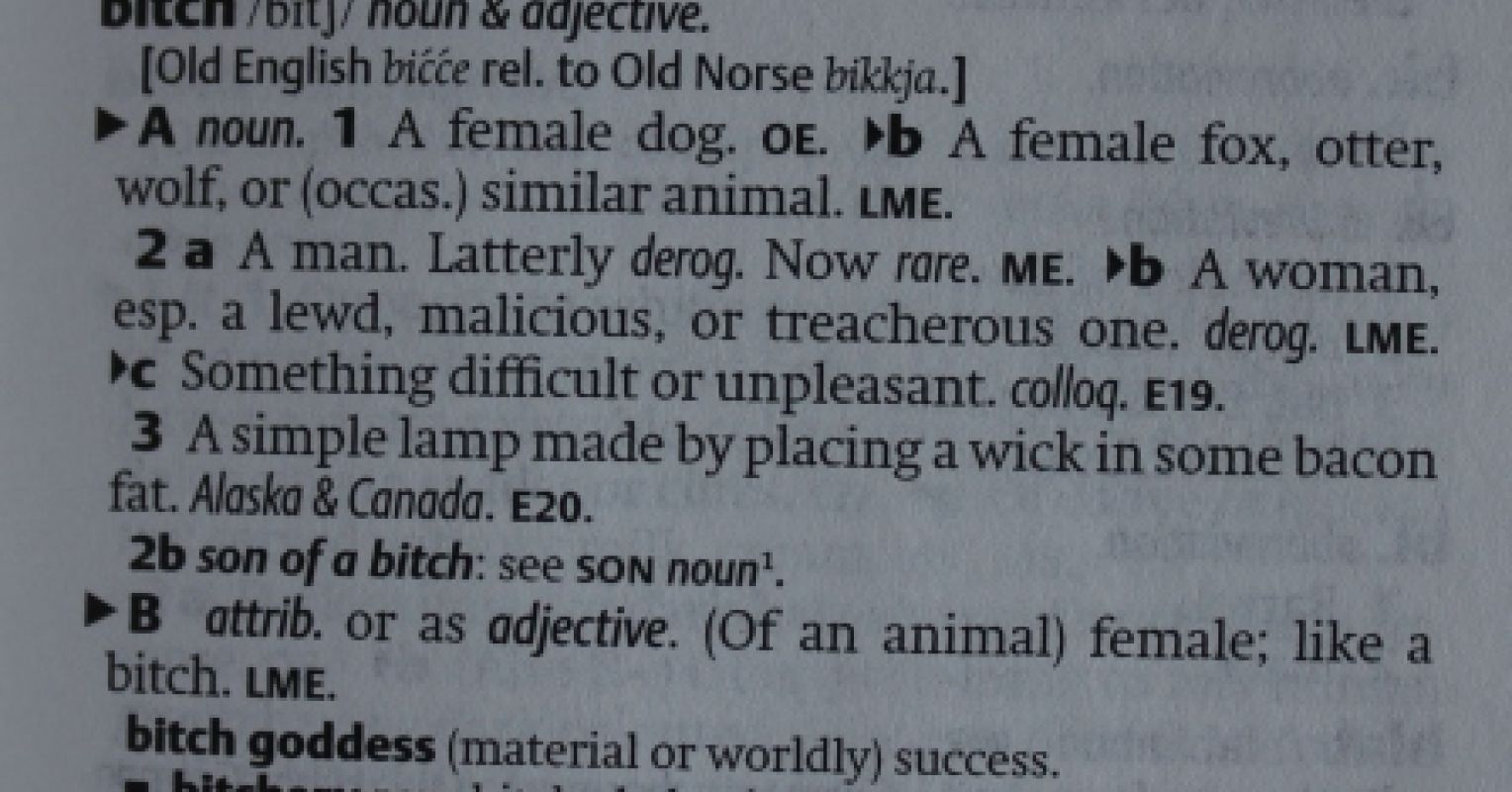 Understanding the Modern Definition of a Bitch